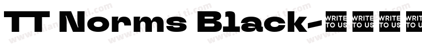 TT Norms Black字体转换